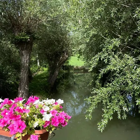 Le Farine Del Maestro Bed & Breakfast