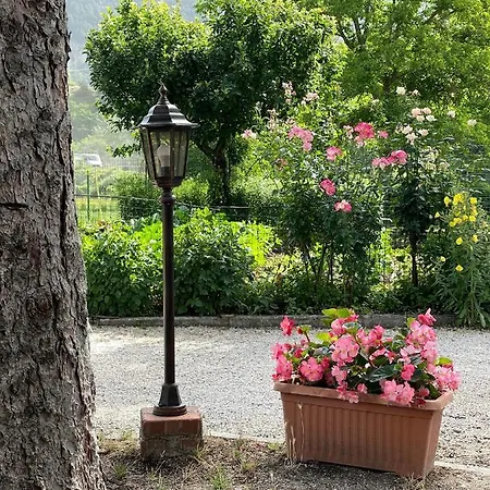 Le Farine Del Maestro Bed & Breakfast *