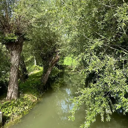 Le Farine Del Maestro Bed and Breakfast *