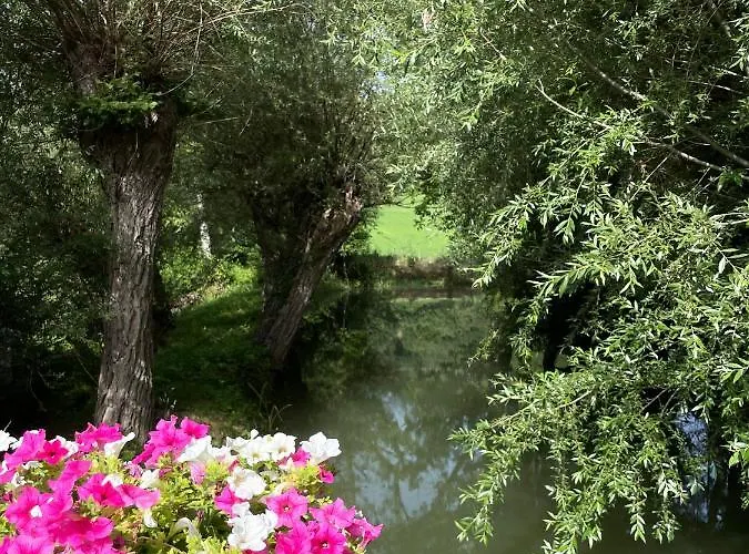 Le Farine Del Maestro Bed and breakfast